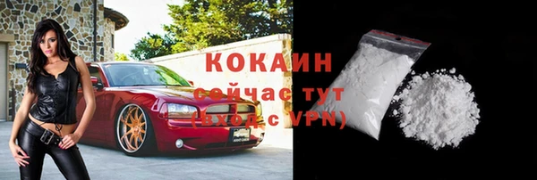 ешки Алзамай