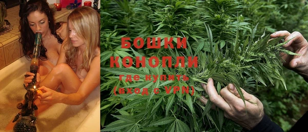 ешки Алзамай