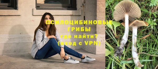ешки Алзамай