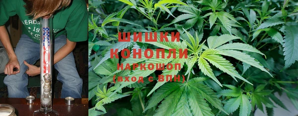 ешки Алзамай