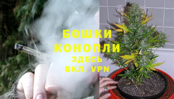 ешки Алзамай